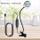 Ρυθμιζόμενοι μεγεθυντικοί φακοί Light3Lighting Τύπος σφιγκτήρες βάσης χεριών χωρίς 6