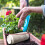 Worm Composting Box With Round Shape, Odor-resistant Design, High Quality And Practical, Suitable For Small Flower Pots 5