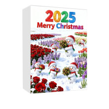Calendrier de l'Avent de Noël, 24 jours, décorations de Noël en acrylique avec bonhomme de neige et fleurs, coffrets surprises pour décorer le