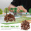 Tree Bark Scenery Accessories Dark Brown for Pets 1 Pack 5