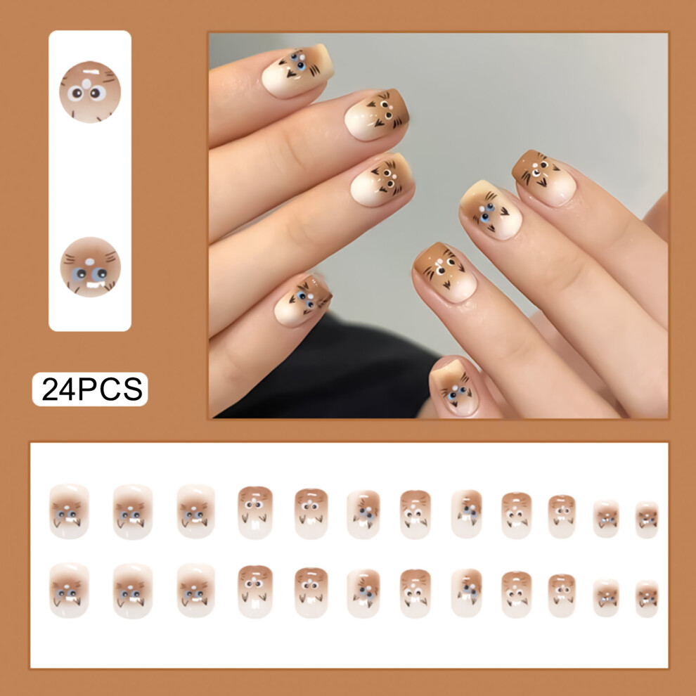 Dachuang Beauty Eco-Friendly Brown Resin Nail Extensions For Women