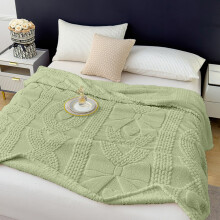 Raschel Blanket Soft Thick Double Layer Green 28x39in