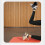 Dumbbell Foot Attachment Nylon Ankle Strap 12