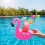 (Flamingo) Inflatable Cup Holder - Firebird Design for Pool & Beach 4