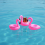 (Flamingo) Inflatable Cup Holder - Firebird Design for Pool & Beach 5