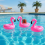 (Flamingo) Inflatable Cup Holder - Firebird Design for Pool & Beach 6