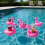(Flamingo) Inflatable Cup Holder - Firebird Design for Pool & Beach 7