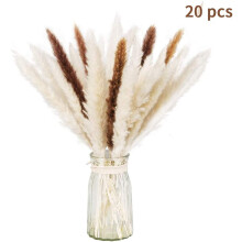 Dried Bundle of Dry Pampas Grass for Home Decor 20 Pieces (White + Brown)