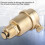 Βαλβίδα εξαερισμού ηλιακού θερμοσίφωνα DN15Brass G1/2 Υψηλής θερμοκρασίας αντίστασης 8