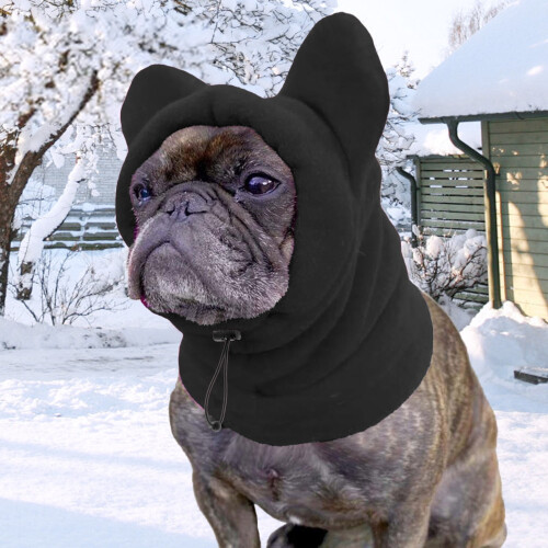 Cappello invernale per cani di piccola e media taglia con paraorecchie. 2
