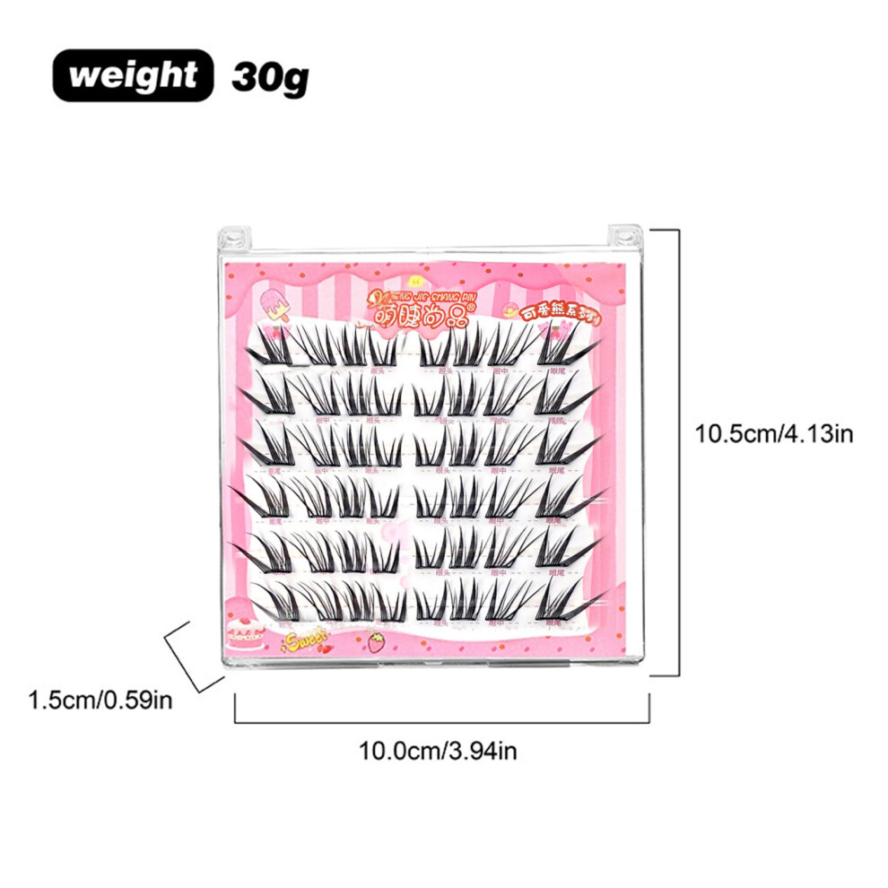 Dachuang Beauty (6 Rows Lazy Style) Lightweight False Lashes For Party & Wedding