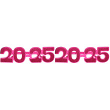 2Paare Rosé 2025 New Year Brillen Stk Partyfotorequisiten