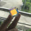 2Stk Optischer Glaswürfel Cube Rgb Für Unterricht 11