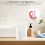 Compact White Plastic Mousse Bottle Storage Box Secure Travel Safe 6