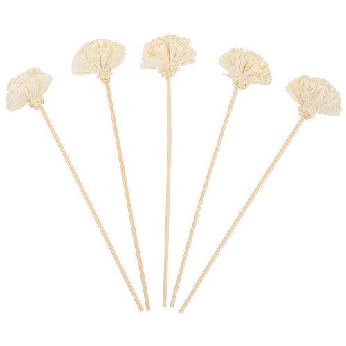 35Stk Professionelle Aroma Blüten Diffuser Beige Für Zuhause