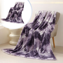 Oversized Velvet Blanket, Luxury Throw Blanket, Thick Winter Nap Cover for King Bed, Winter Warmth Products, Home Decor (C)