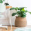(C 35x37cm) Foldable Cotton Rope Basket with Metal Frame 2