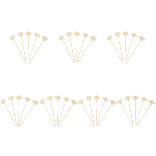35Stk Professionelle Aroma Blüten Diffuser Beige Für Zuhause 1