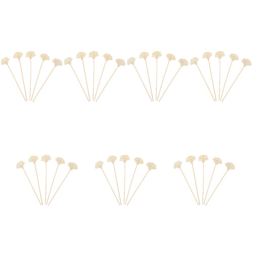 35Stk Professionelle Aroma Blüten Diffuser Beige Für Zuhause 2