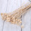 20Stk Natürliche Rattan Diffuserstäbchen Gelb Für Duftölspirale 4