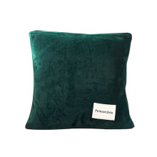 Green Velvet Throw Pillow 18 x 18 Inches
