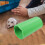 4Pièces Tunnel Vert Pour Hamster Amusant 11