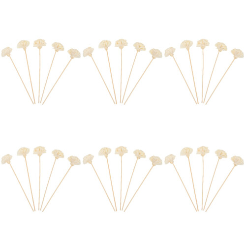 30Pièces Bâtons D'aromathérapie En Fleurs Séchées Beige, Décor Maison 1