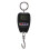 Portable Electronic Scale 200kg Black ABS 2
