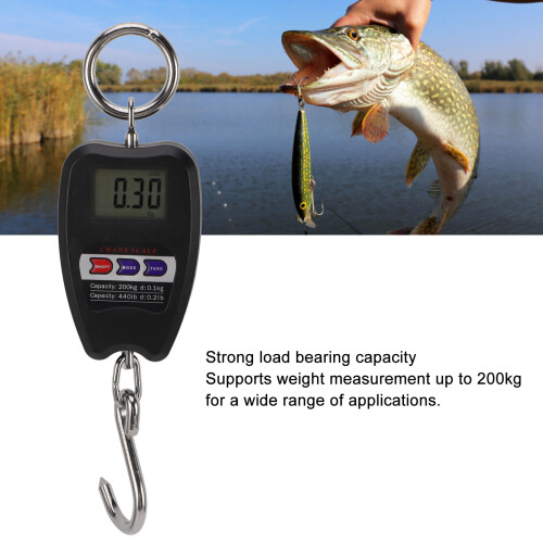 Portable Electronic Scale 200kg Black ABS 2