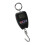 Portable Electronic Scale 200kg Black ABS 1