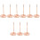 9Pièces - Métal Résistant Porte-Addition Pour Rose 3