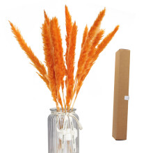 Dried Pampas Grass Flowers Bouquet, 40-45cm, Natural Reed
