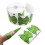 100Pcs Green Nail Art Guide Forms Practical Nail Tool Set 4