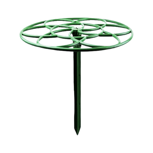 (1 Pcs) Adjustable Plant Trellis for Climbing Plants