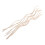 250Pcs Beige Rattan Diffuser Replacement Sticks Natural Aroma for Home 3