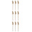 9Pcs Multifunctional Golden Metal Rust Removing Brushes for Home Use 5