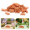 200Pcs Compact Chocolate Mini Bricks for Crafting Miniature Models 8