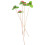 20Pcs Assorted Color Aromatherapy Flower Diffuser Sticks for Home Use 2