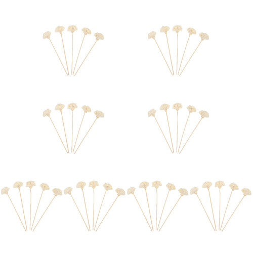 40Pcs Aromatherapy Flowers Diffuser Sticks Beige Natural Home Decor 2