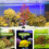 10Pcs Fish Tank Plants Plastic Artificial Aquarium Decor 3