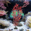 10Pcs Fish Tank Plants Plastic Artificial Aquarium Decor 7