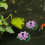 2Sets Durable Pe Fountain Floating USB Garden Ornament 10