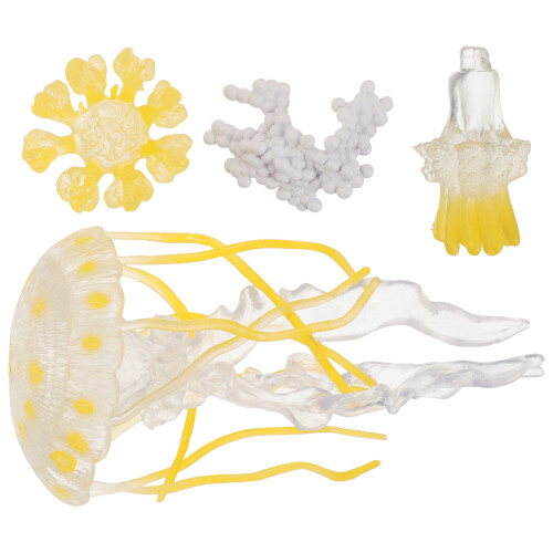 4Sets Multi Plastic Marine Life Cycle Jellyfish Kit for Child Learning 1