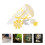 4Sets Multi Plastic Marine Life Cycle Jellyfish Kit for Child Learning 9