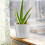 1Set Adjustable Hook Loop Plant Pot Cover Silver Aluminum Thermal Wrap 5