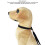 Pet Bath Tether Dog Restraint Suction L Black 9cm 7