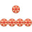 5Pcs Prize Wheel Durable Plastic Game Prop 4