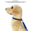 Pet Bath Tether Blue S 6.5cm Suction Cup for Dog 8