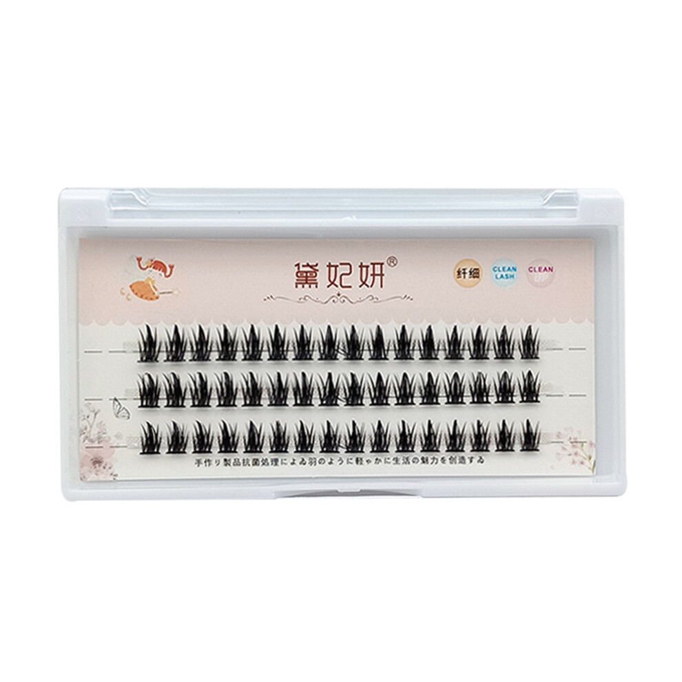 Roc-Electron (10Mm) Natural False Eyelashes For Women - Daily Wear