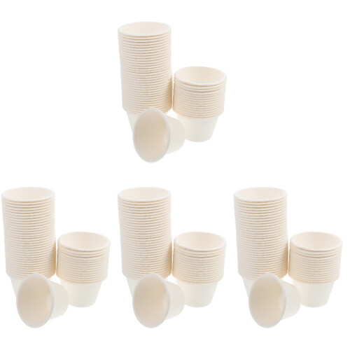 200Pièces Blancs En Pulpe Pour Glace Dessert